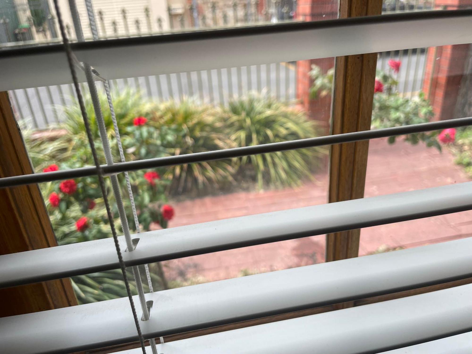 Adelaide Style Accommodation-Getaway In North Adelaide- Close To City Ngoại thất bức ảnh
